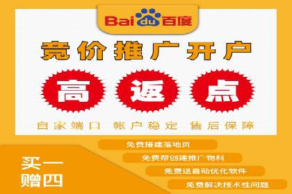 某品牌通过SEM优化实现品牌增长的故事